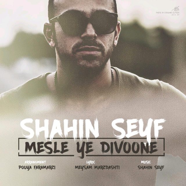 Shahin Seyf - Mesle Ye Divoone