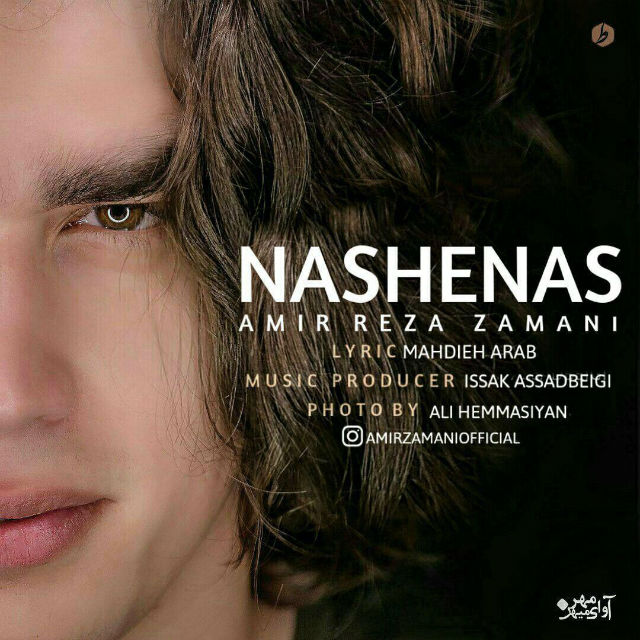 Amir Reza Zamani - Nashenas