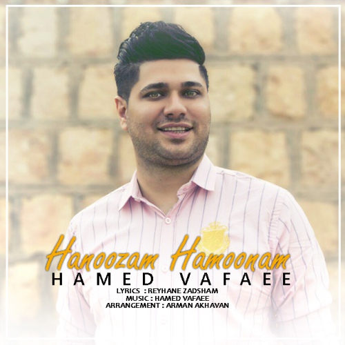 Hamed Vafaee - Hanoozam Hamoonam