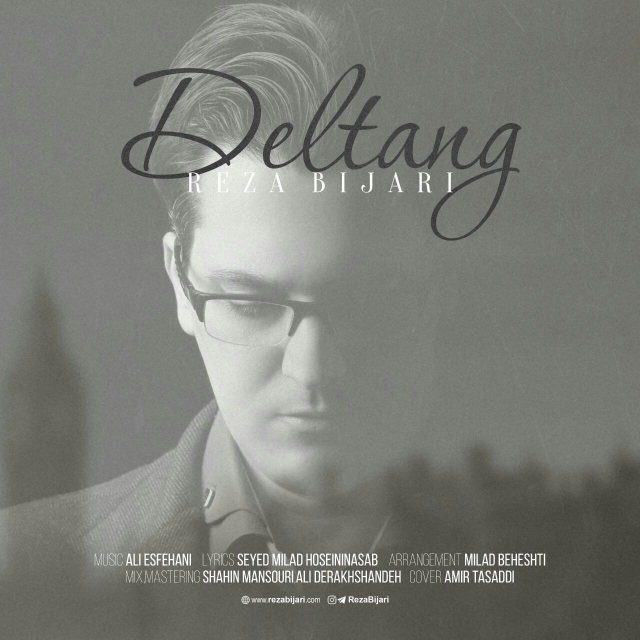 Reza Bijari - Deltang