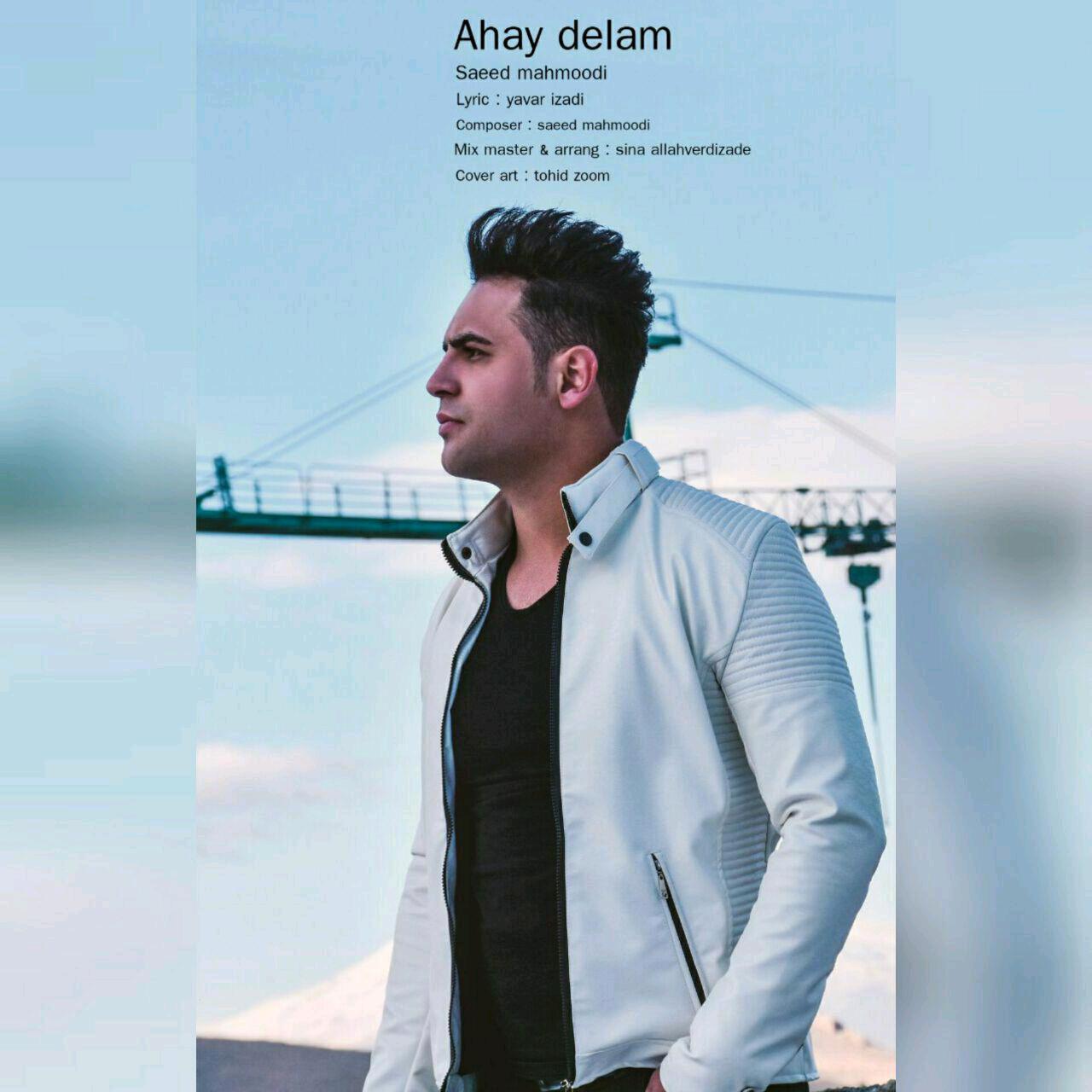 Saeed Mahmoodi - Ahay Delam