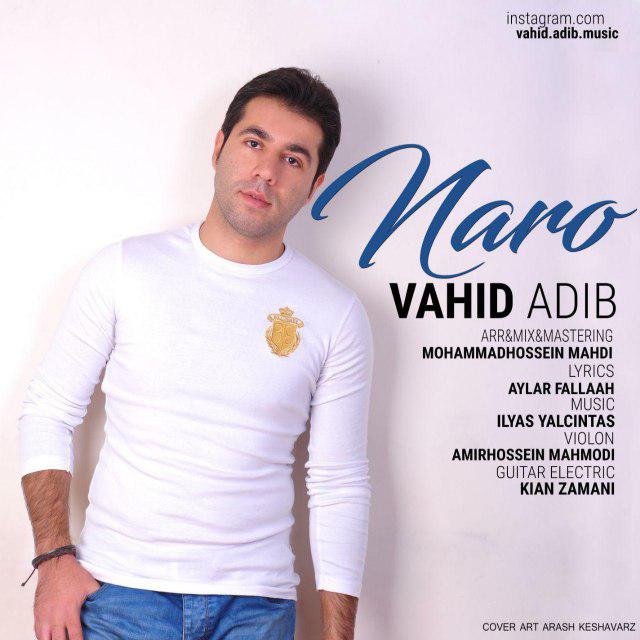 Vahid Adib - Naro