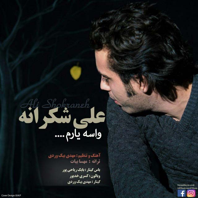 Ali Shokraneh - Vase Yaram