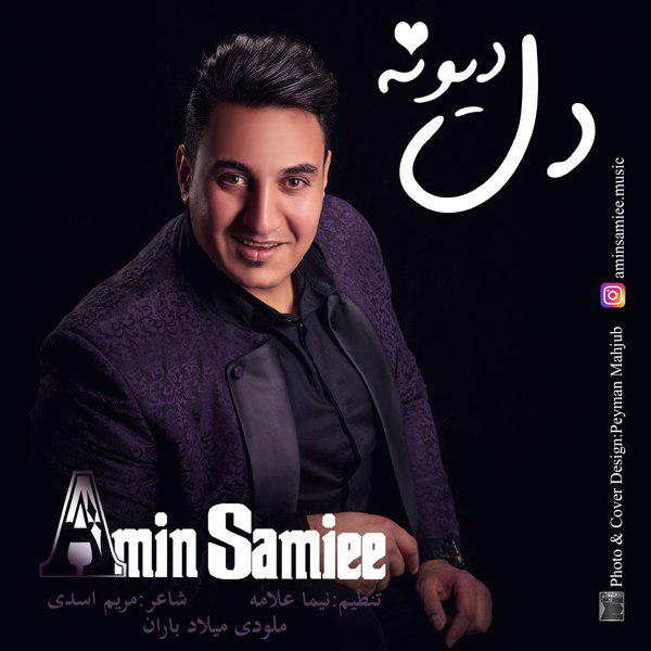 Amin Samiee - Dele Divune