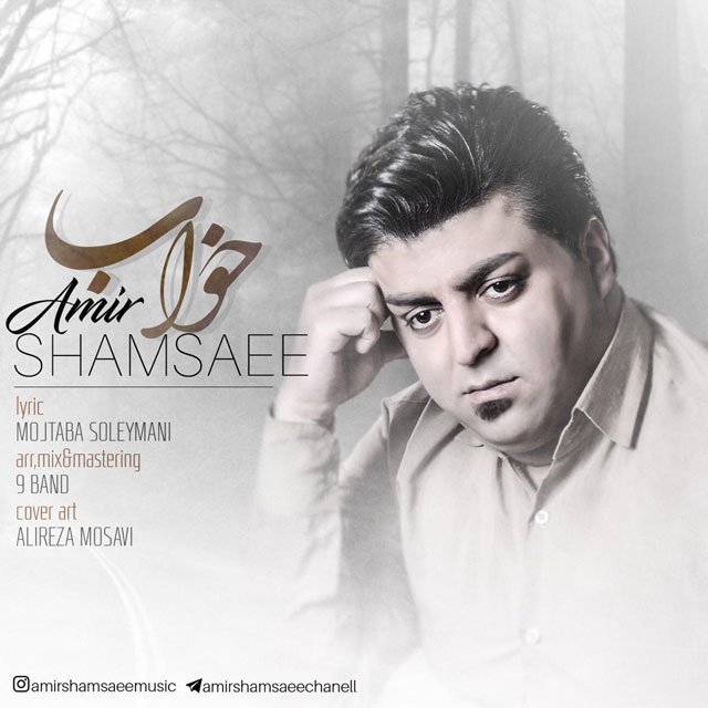 Amir Shamsaee - Khab