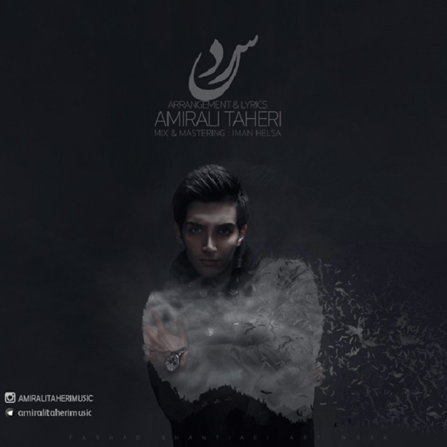 Amirali Taheri - Sard