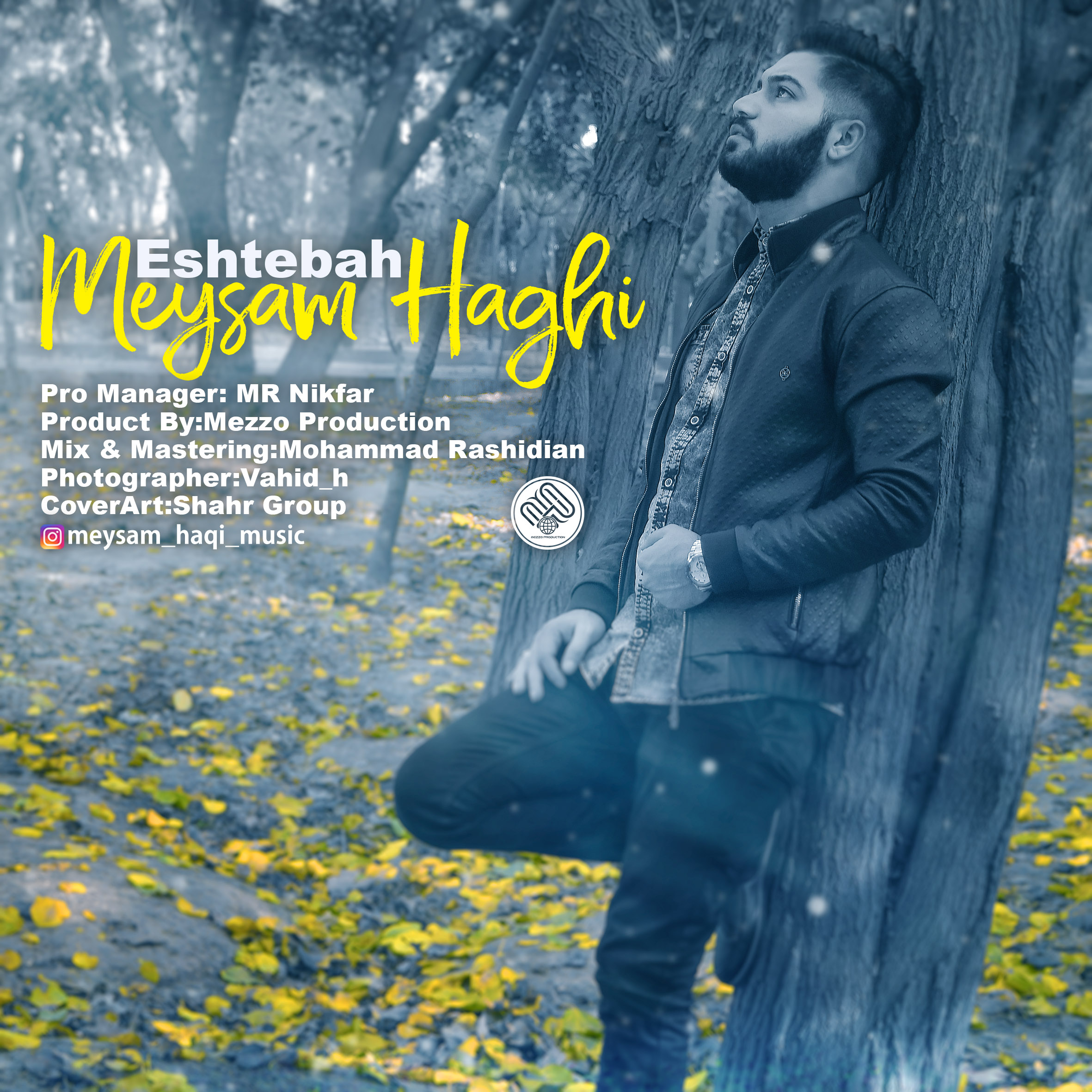 Meysam Haghi - Eshtebah