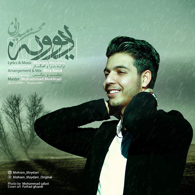 Mohsen Meydani - Divooneh