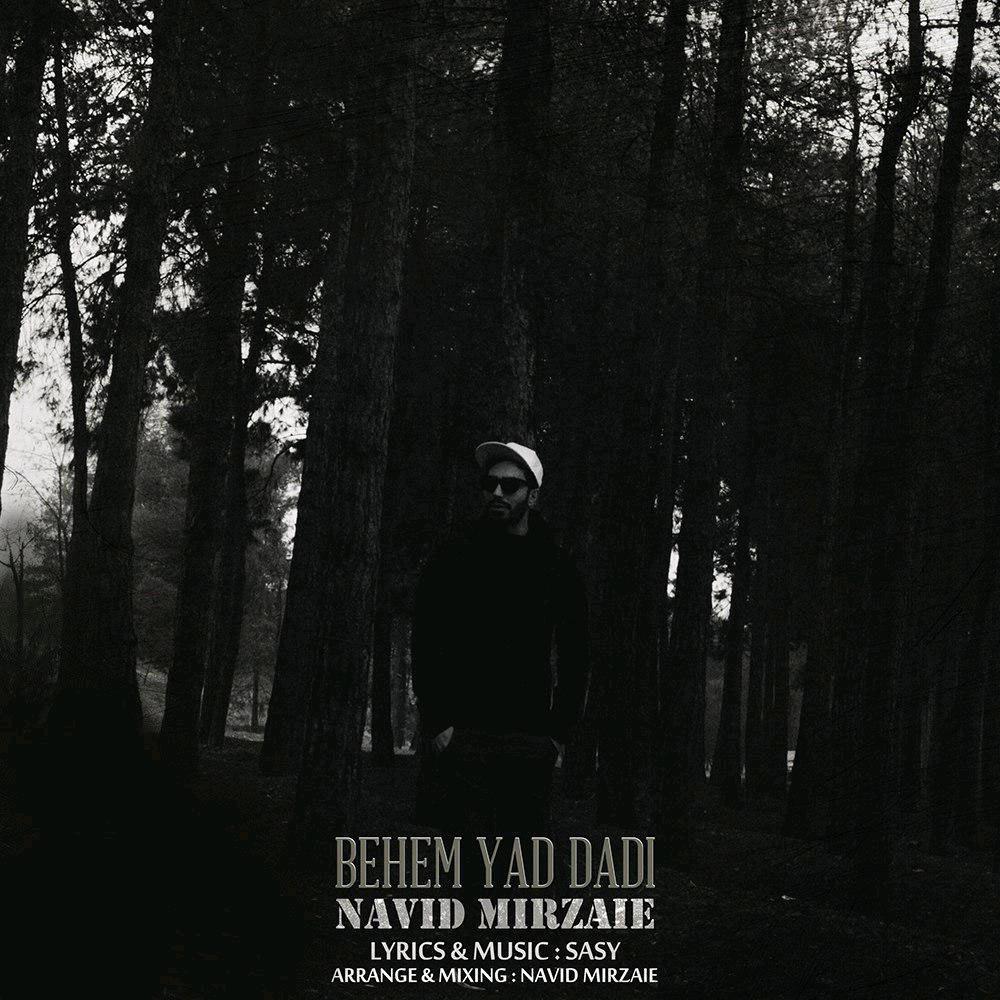 Navid Mirzaie - Behem Yad Dadi