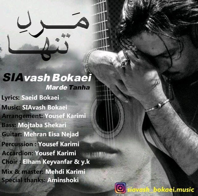 Siavash Bokaei - Marde Tanha