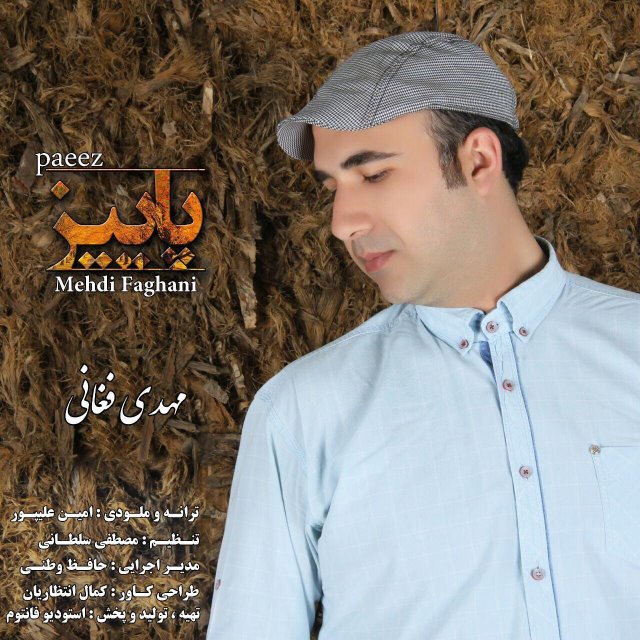 Mehdi Faghani - Paeez