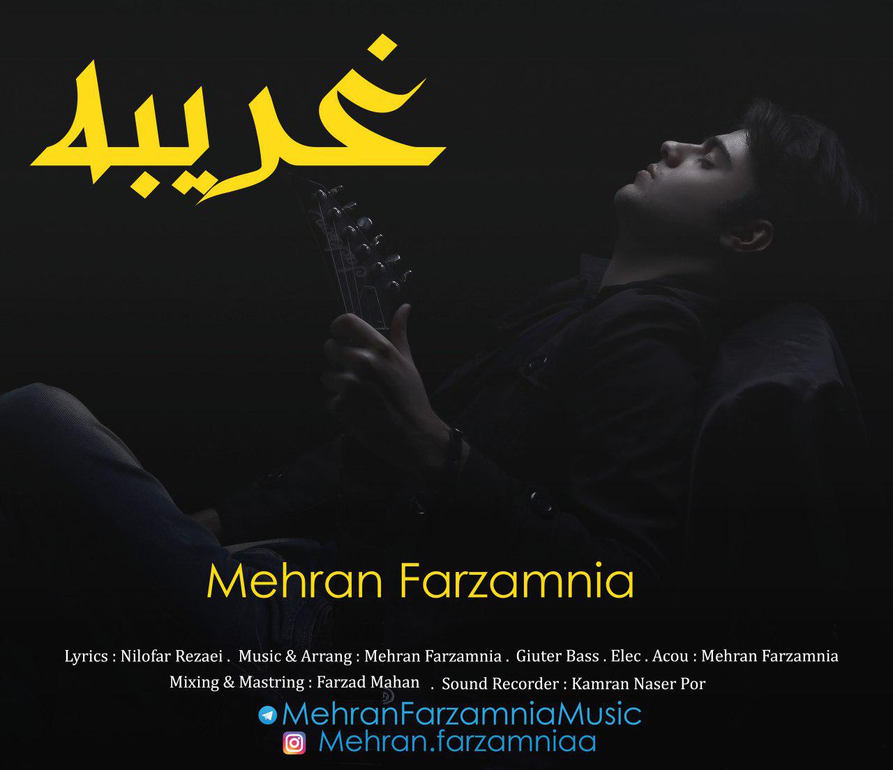 Mehran Farzamnia - Gharibeh