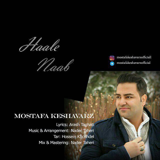 Mostafa Keshavarz – Haale Naab