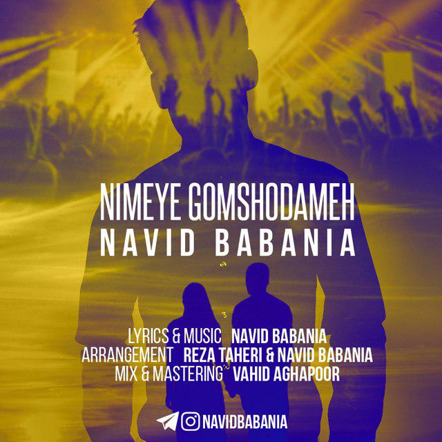 Navid Babania - Nimeye Gomshodameh