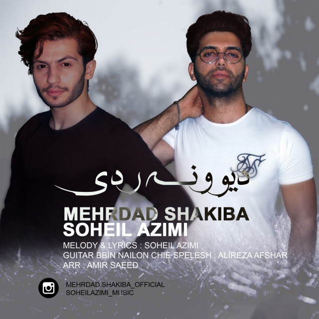 Mehrdad Shakiba & Soheil Azimi - Divooneye Radi