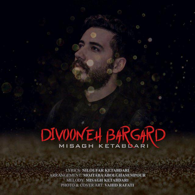 Misagh Ketabdari - Divoone Bargard