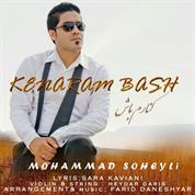 Mohammad Soheili - Kenaram Bash