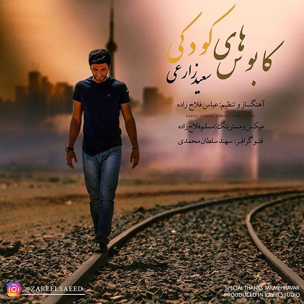 Saeid Zareei - Kaboose Haye Koodaki