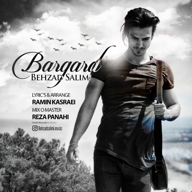 Behzad Salimi - Bargard