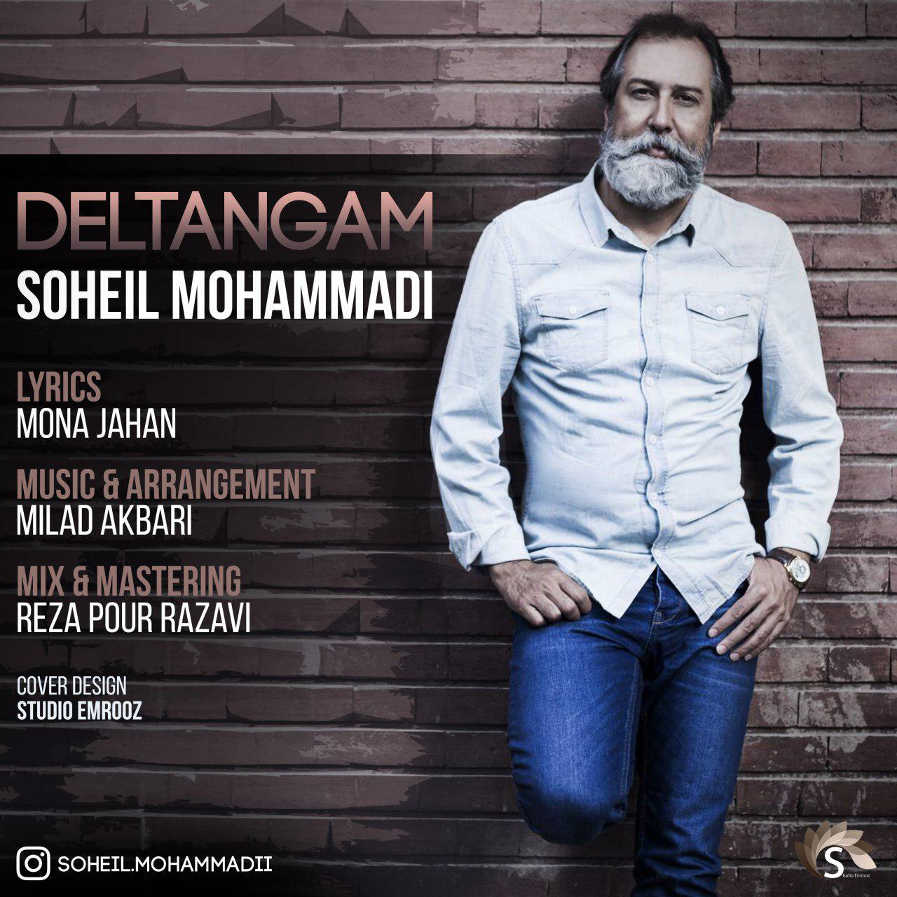 Soheil Mohammadi - Deltangam