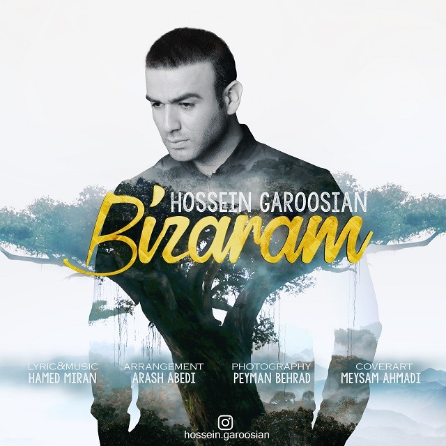 Hossein Garoosian - Bizaram