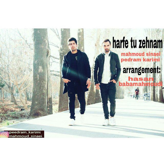 MahMoud Sinaei & Pedram Karimi - Harfe Tu Zehnam