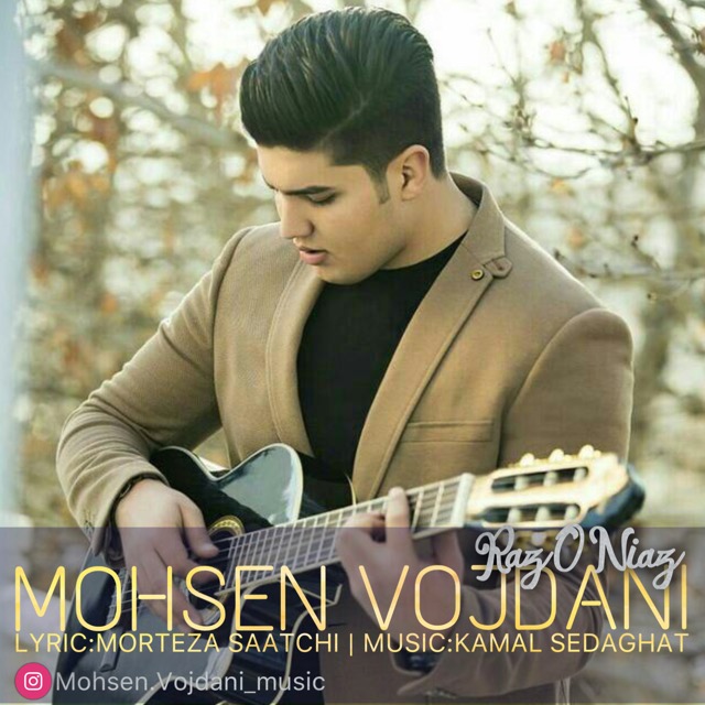 Mohsen Vojdani - Raz O Niaz