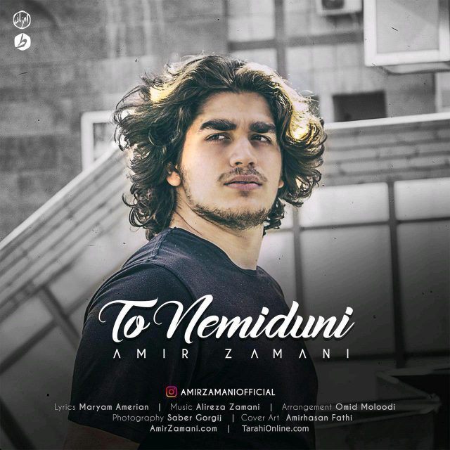 Amir Zamani - To Nemiduni