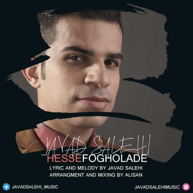 Javad Salehi - Hesse Fogholade