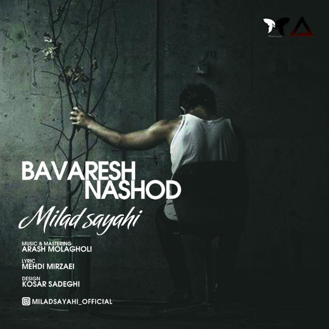 Milad Sayahi - Bavaresh Nashod