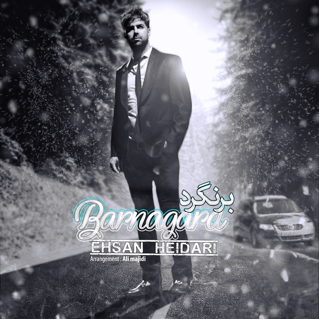 Ehsan Heidari - Barnagard