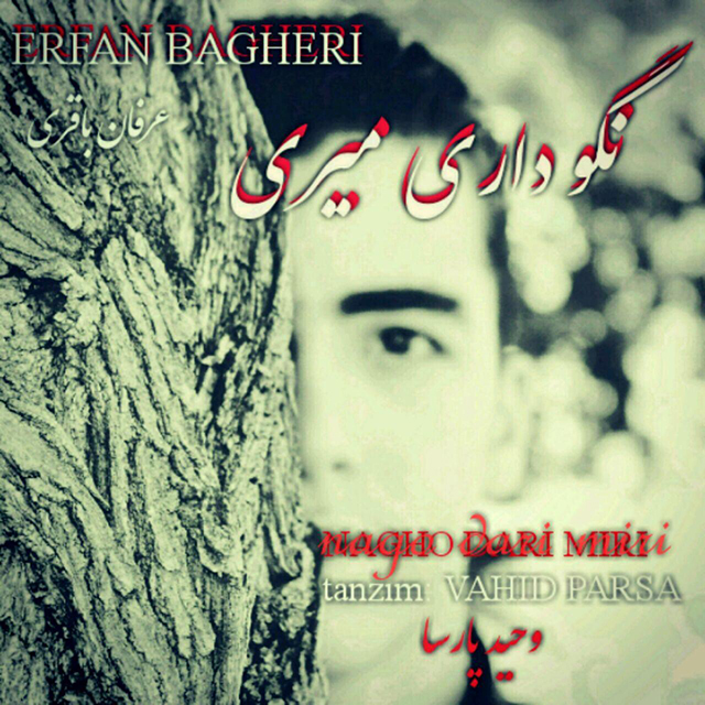 Erfan Bagheri - Nagoo Dari Miri