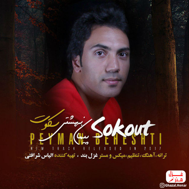 Peyman Beheshti - Sokout