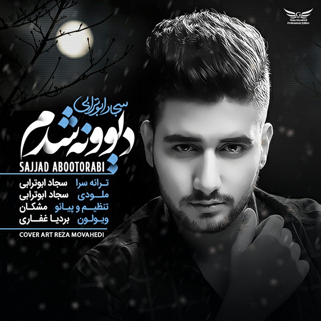 Sajjad Abootorabi - Divoone Shodam