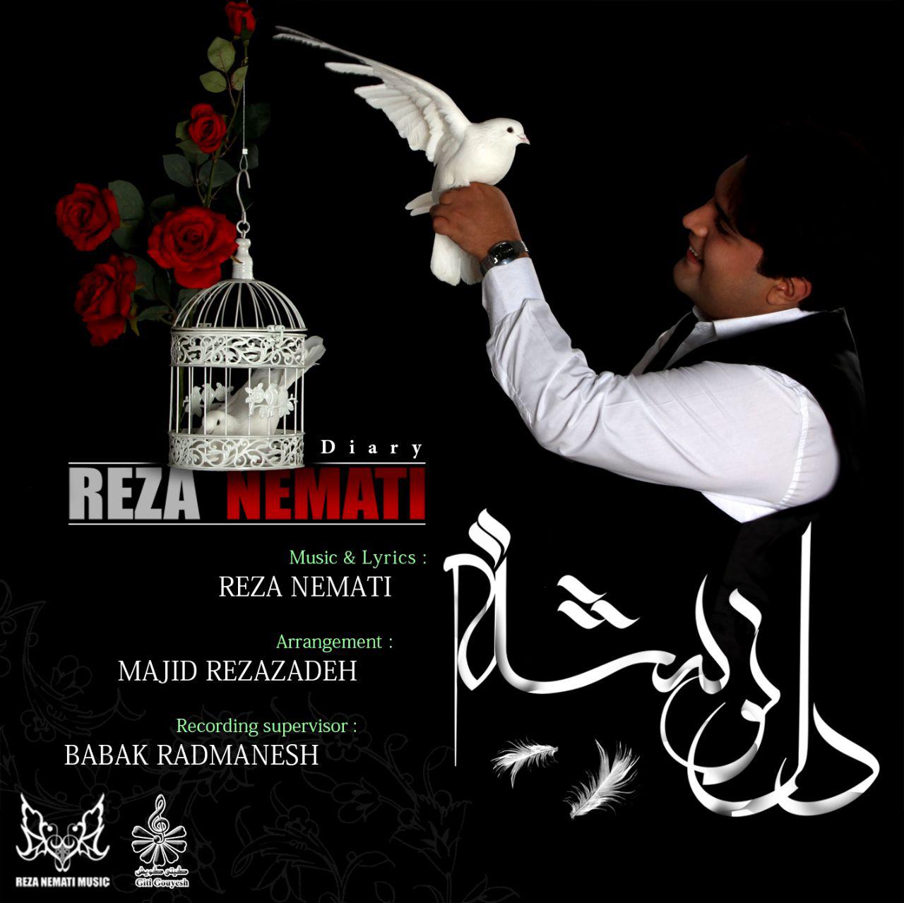 Reza Nemati - Delneveshteh