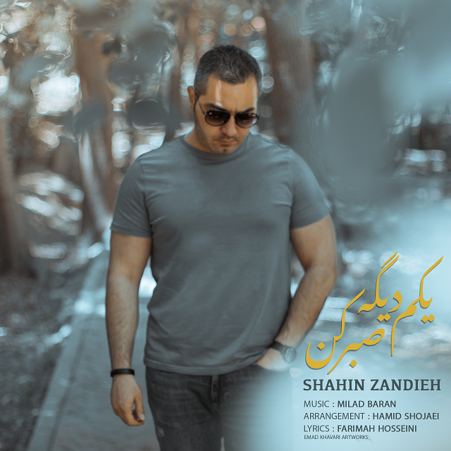 Shahin Zandieh - Yekam Dige Sabr Kon