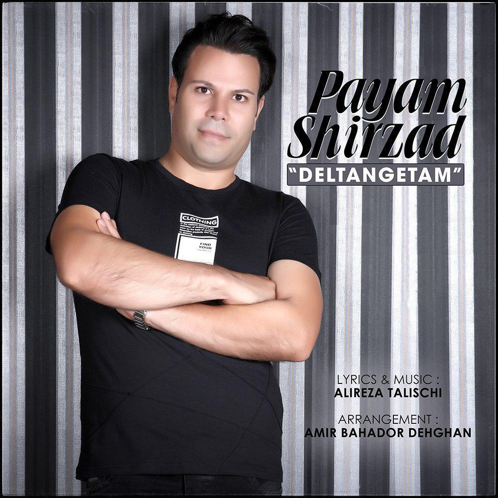 Payam Shirzad - Deltangetam