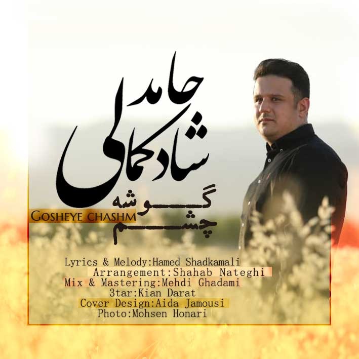 Hamed Shadkamali - Gosheye Chashm