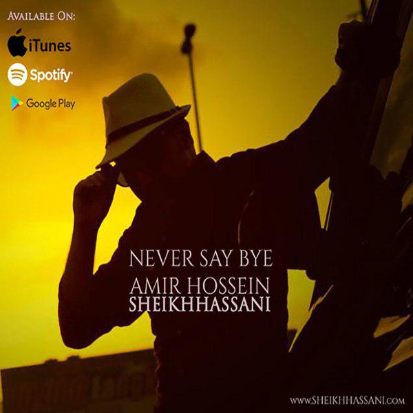 AmirHossein SheikhHassani - Never Say Bye