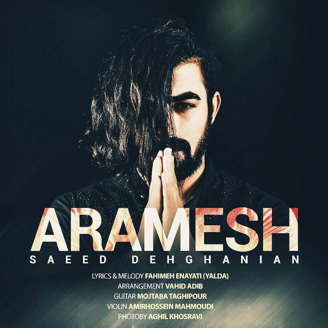 Saeed Dehghanian - Aramesh