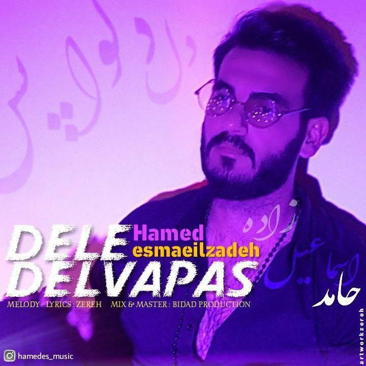 Hamed Esmailzadeh - Dele Delvapas