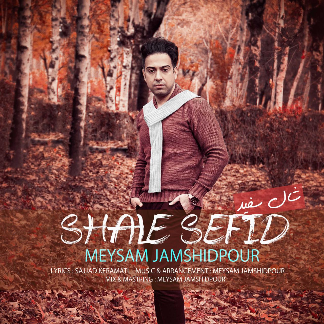 Meysam Jamshidpour - Shale Sefid