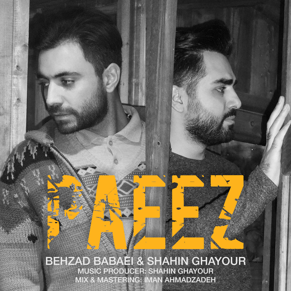 Behzad Babaei &amp; Shahin Ghayour - Paeez