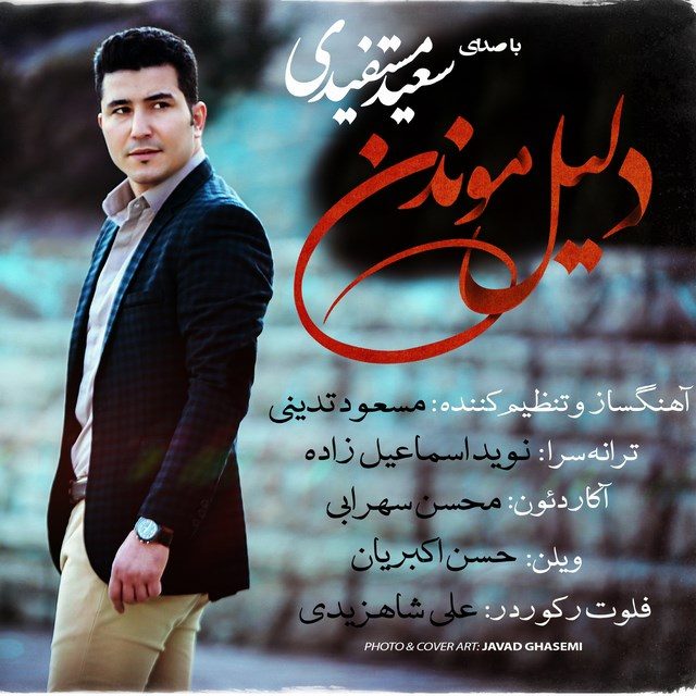 Saeid Mostafidi - Dalile Moondan