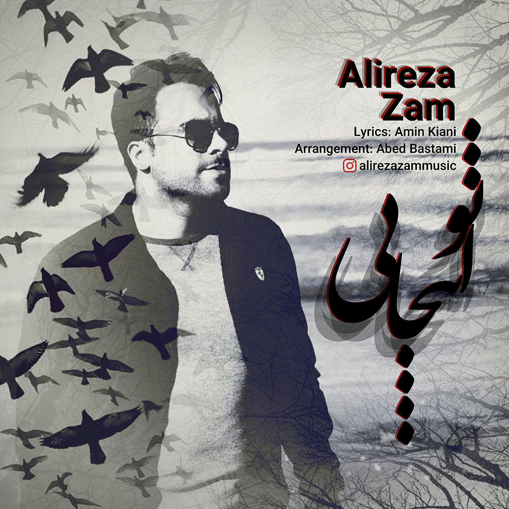 Alireza Zam - To Injaei