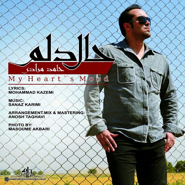 Hamed Moradi - Hale Delam