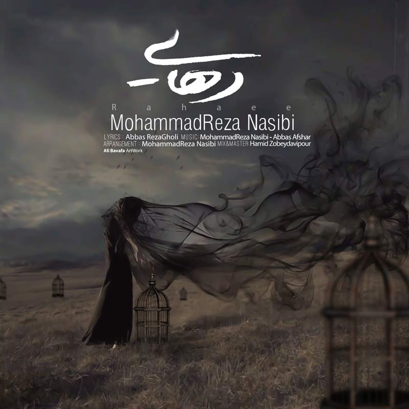 Mohammadreza Nasibi - Rahaee