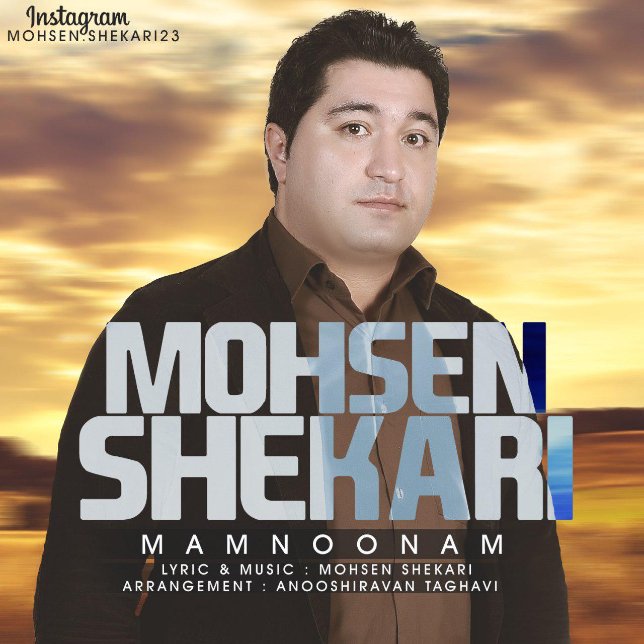 Mohsen Shekari - Mamnoonam