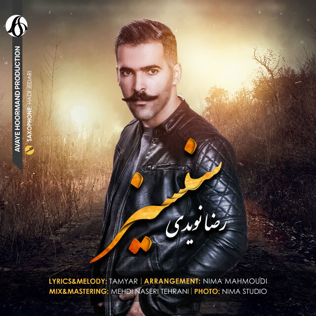 Reza Navidi - Sansiz