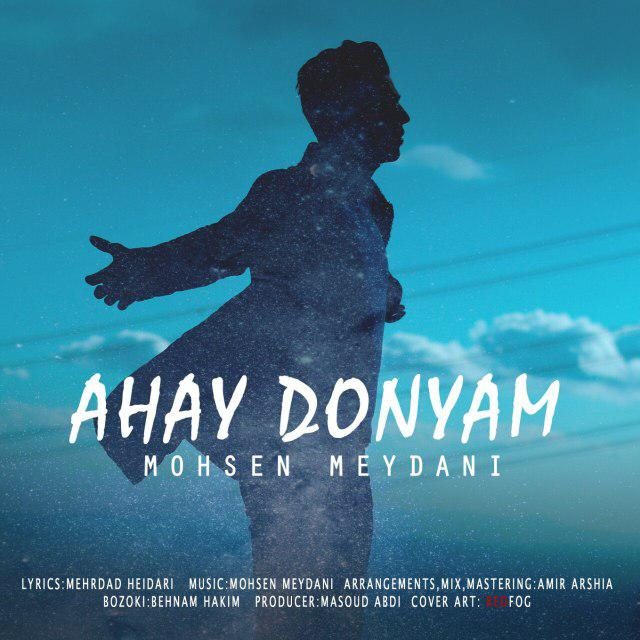 Mohsen Meydani - Ahay Donyam